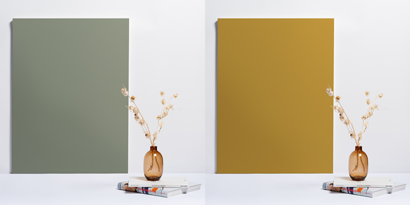 coloris miel et olive façade PAO